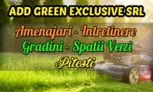 Amenajari Gradini Negru Voda