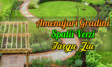 Amenajari Gradini Targu Jiu