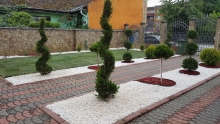 Amenajari Spatii Verzi Sannicolau Mare Flower Garden Design