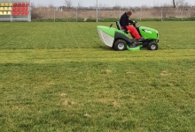 Amenajari Spatii Verzi Timisoara Flower Garden Design
