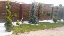 Amenajari Spatii Verzi Lugoj Flower Garden Design
