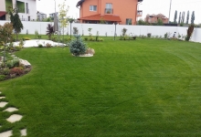 Amenajari Spatii Verzi Sannicolau Mare Flower Garden Design