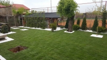 Amenajari Spatii Verzi Sannicolau Mare Flower Garden Design