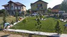 Amenajari Spatii Verzi Sannicolau Mare Flower Garden Design