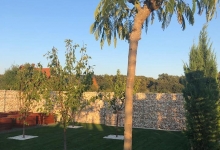 Amenajari Spatii Verzi Sannicolau Mare Flower Garden Design