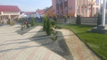 Amenajari Spatii Verzi Lugoj Flower Garden Design