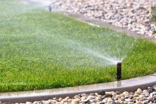 Amenajari Spatii Verzi Vaslui SC EGO GARDEN DESIGN SRL