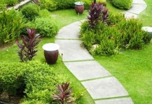 Amenajari Spatii Verzi Vaslui SC EGO GARDEN DESIGN SRL