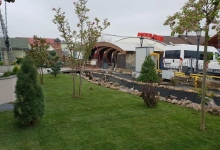 Amenajari Spatii Verzi Sannicolau Mare Flower Garden Design