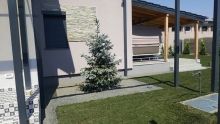 Amenajari Spatii Verzi Sannicolau Mare Flower Garden Design