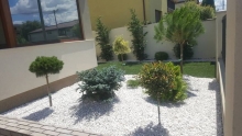 Amenajari Spatii Verzi Timisoara Flower Garden Design