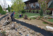 Amenajari Spatii Verzi Sannicolau Mare Flower Garden Design