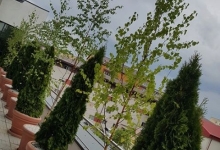 Amenajari Spatii Verzi Timisoara Flower Garden Design