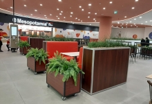 Amenajari Spatii Verzi Ploiesti CREATIVE EVENT MANAGEMENT SRL