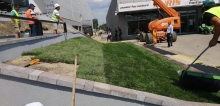 Amenajari Spatii Verzi Ploiesti CREATIVE EVENT MANAGEMENT SRL