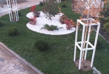 Amenajari Spatii Verzi Ploiesti CREATIVE EVENT MANAGEMENT SRL