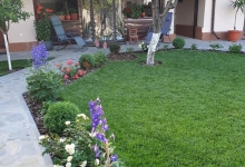 Amenajari Spatii Verzi Buzau CREATIVE EVENT MANAGEMENT SRL