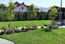 Amenajari Spatii Verzi Buftea CREATIVE EVENT MANAGEMENT SRL