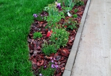 Amenajari Spatii Verzi Buftea CREATIVE EVENT MANAGEMENT SRL