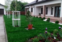 Amenajari Spatii Verzi Buftea CREATIVE EVENT MANAGEMENT SRL