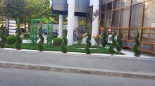 Amenajari Spatii Verzi Ploiesti CREATIVE EVENT MANAGEMENT SRL