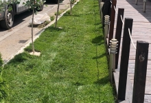 Amenajari Spatii Verzi Rosiorii de Vede Amenajari Gradini si Spatii Verzi Rosiori de Vede ADD.GREEN EXCLUSIVE