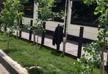 Amenajari Spatii Verzi Rosiorii de Vede Amenajari Gradini si Spatii Verzi Rosiori de Vede ADD.GREEN EXCLUSIVE
