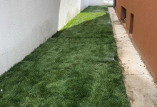 Amenajari Spatii Verzi Alexandria Amenajari Gradini si Spatii Verzi Alexandria ADD.GREEN EXCLUSIVE