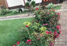 Amenajari Spatii Verzi Mizil CREATIVE EVENT MANAGEMENT SRL