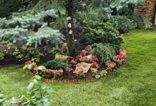 Amenajari Spatii Verzi Snagov Beautiful Green Garden