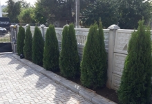 Amenajari Spatii Verzi Chiajna GEO KAR GREEN SRL
