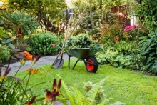 Amenajari Spatii Verzi Roman Amenajari Gradini si Spatii Verzi Roman - SC EGO GARDEN DESIGN SRL