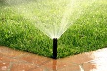 Amenajari Spatii Verzi Roman Amenajari Gradini si Spatii Verzi Roman - SC EGO GARDEN DESIGN SRL
