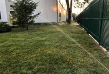 Amenajari Spatii Verzi Campina ART GARDEN