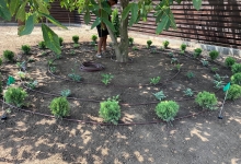 Amenajari Spatii Verzi Clinceni Amenajari Gradini si Spatii Verzi Clinceni - Art Garden