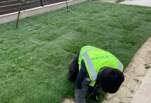 Amenajari Spatii Verzi Bucuresti-Sector 2 ART GARDEN