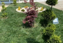Amenajari Spatii Verzi Clinceni Amenajari Gradini si Spatii Verzi Clinceni - Art Garden