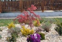 Amenajari Spatii Verzi Baicoi Amenajari Gradini si Spatii Verzi Baicoi ART GARDEN