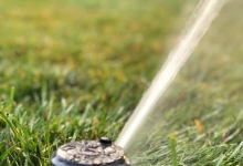 Amenajari Spatii Verzi Baicoi Amenajari Gradini si Spatii Verzi Baicoi ART GARDEN