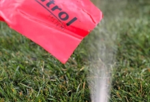 Amenajari Spatii Verzi Baicoi Amenajari Gradini si Spatii Verzi Baicoi ART GARDEN