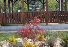 Amenajari Spatii Verzi Magurele Amenajari Amenajari Gradini si Spatii Verzi Magurele - ART GARDEN