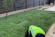 Amenajari Spatii Verzi Pantelimon Amenajari Gradini si Spatii Verzi Pantelimon - ART GARDEN