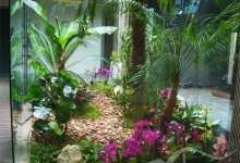 Amenajari Spatii Verzi Baneasa Amenajari Gradini - Baneasa 