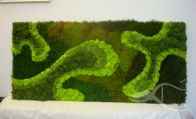 Amenajari Spatii Verzi Corbeanca Amenajari Gradini - Corbeanca 