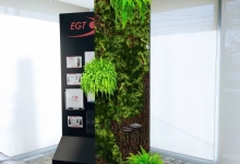 Amenajari Spatii Verzi Corbeanca Amenajari Gradini - Corbeanca 