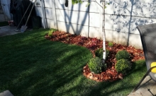 Amenajari Spatii Verzi Chitila Amenajari Gradini - Chitila 