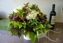 Amenajari Spatii Verzi Baneasa Amenajari Gradini - Baneasa 