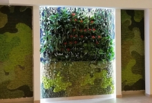 Amenajari Spatii Verzi Baneasa Amenajari Gradini - Baneasa 