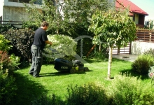 Amenajari Spatii Verzi Corbeanca Amenajari Gradini - Corbeanca 