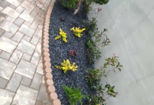 Amenajari Spatii Verzi Deva Amenajari Spatii Verzi si Sisteme Irigatii Deva  - Giardini Veneziani SRL